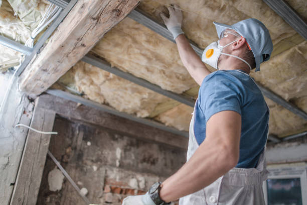 Best Insulation Installation Services in Madison, MS